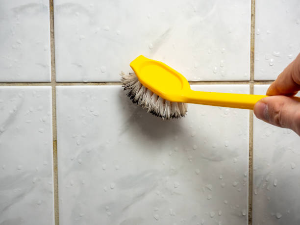 Best Mold Cleaning Services  in Lexington, MI