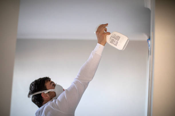 Best Mold Removal Near Me  in Lexington, MI